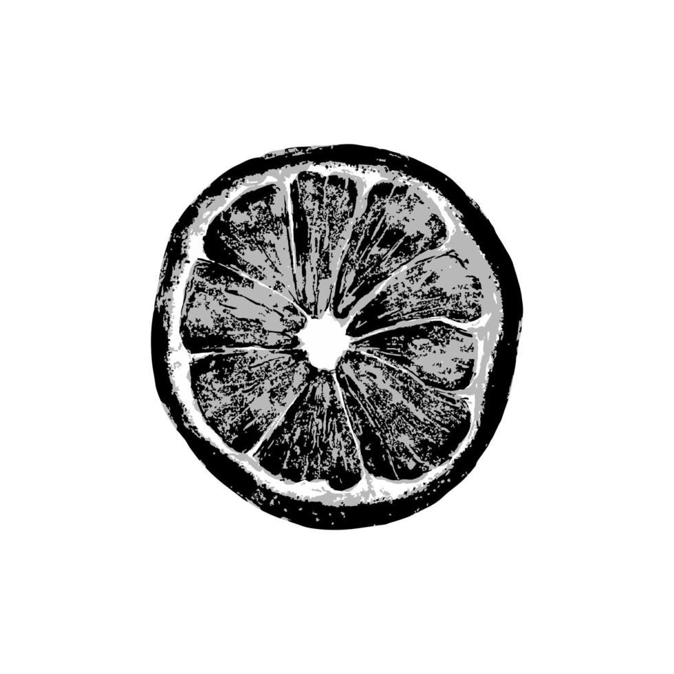 arancia disegnata a mano, limone vettore
