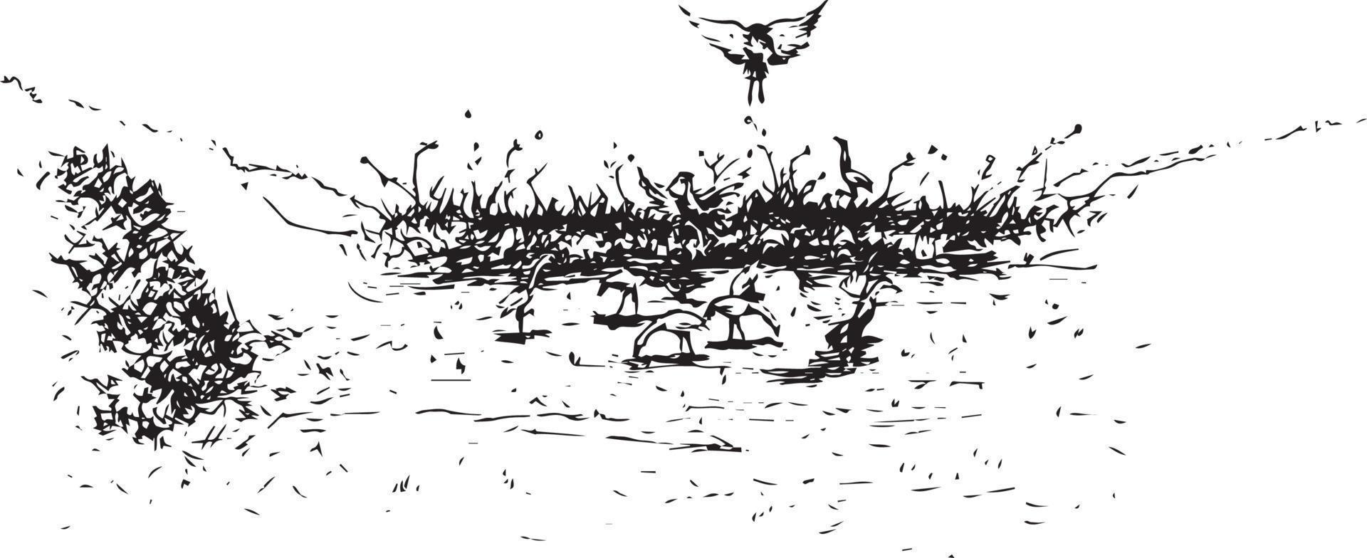 schizzo di un' gruppo di uccello guardare per cibo nel il campo vettore