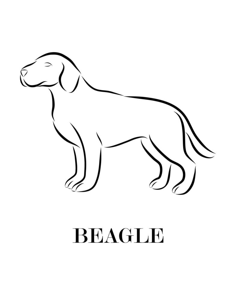 beagle line art cane vettoriale eps 10