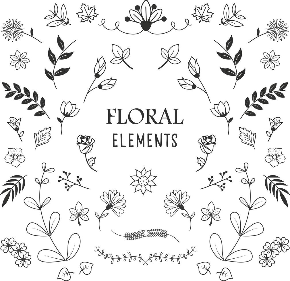 impostato di floreale e botanico elementi. vettore illustrazione
