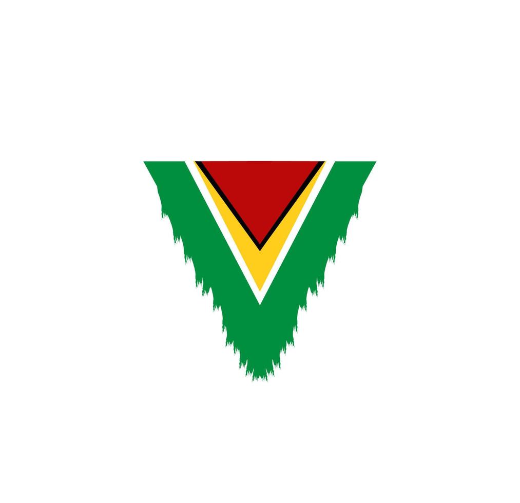 Guyana bandiera icona, illustrazione di nazionale bandiera design con eleganza concetto, Perfetto per indipendenza design vettore