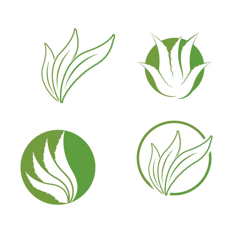 aloe Vera logo icona design simbolo bellezza vettore