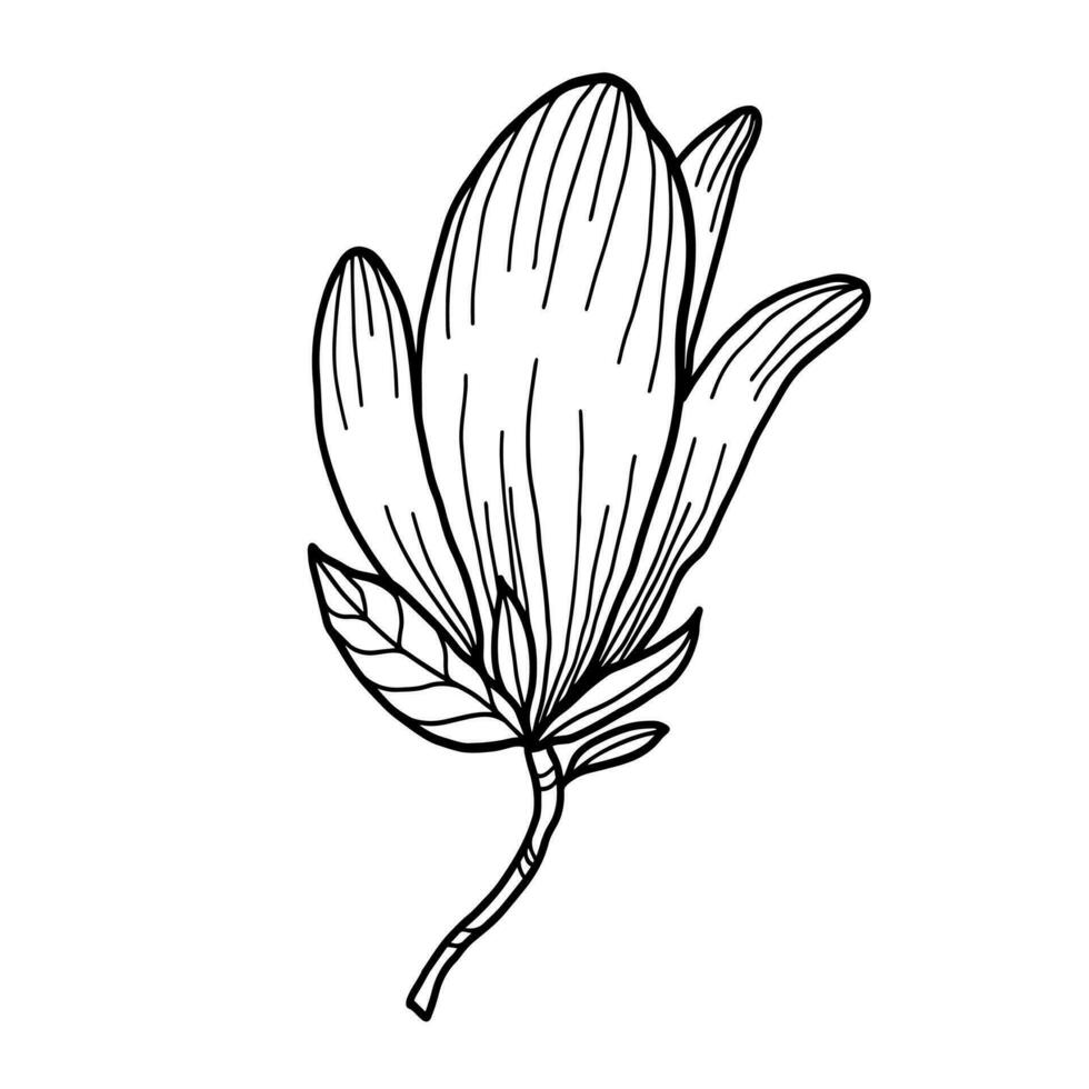 linea arte clipart con magnolia fiori vettore
