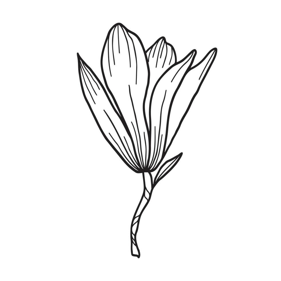 linea arte clipart con magnolia fiori vettore