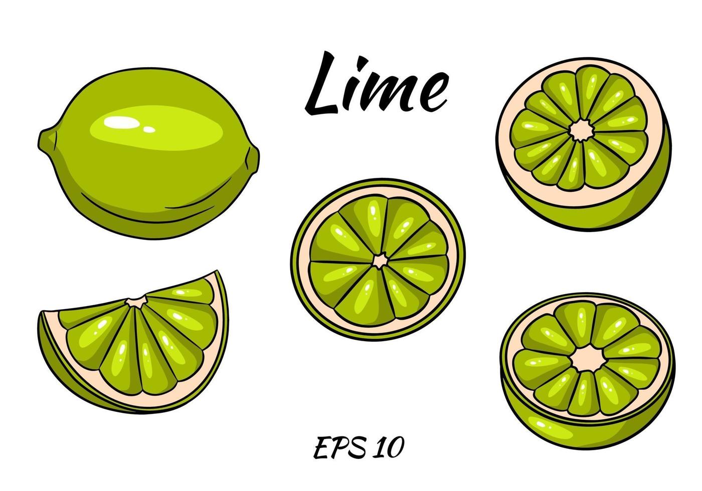 set di succose limette. lime, intero e mezzo tagliato. illustrazioni per il design e la decorazione. vettore