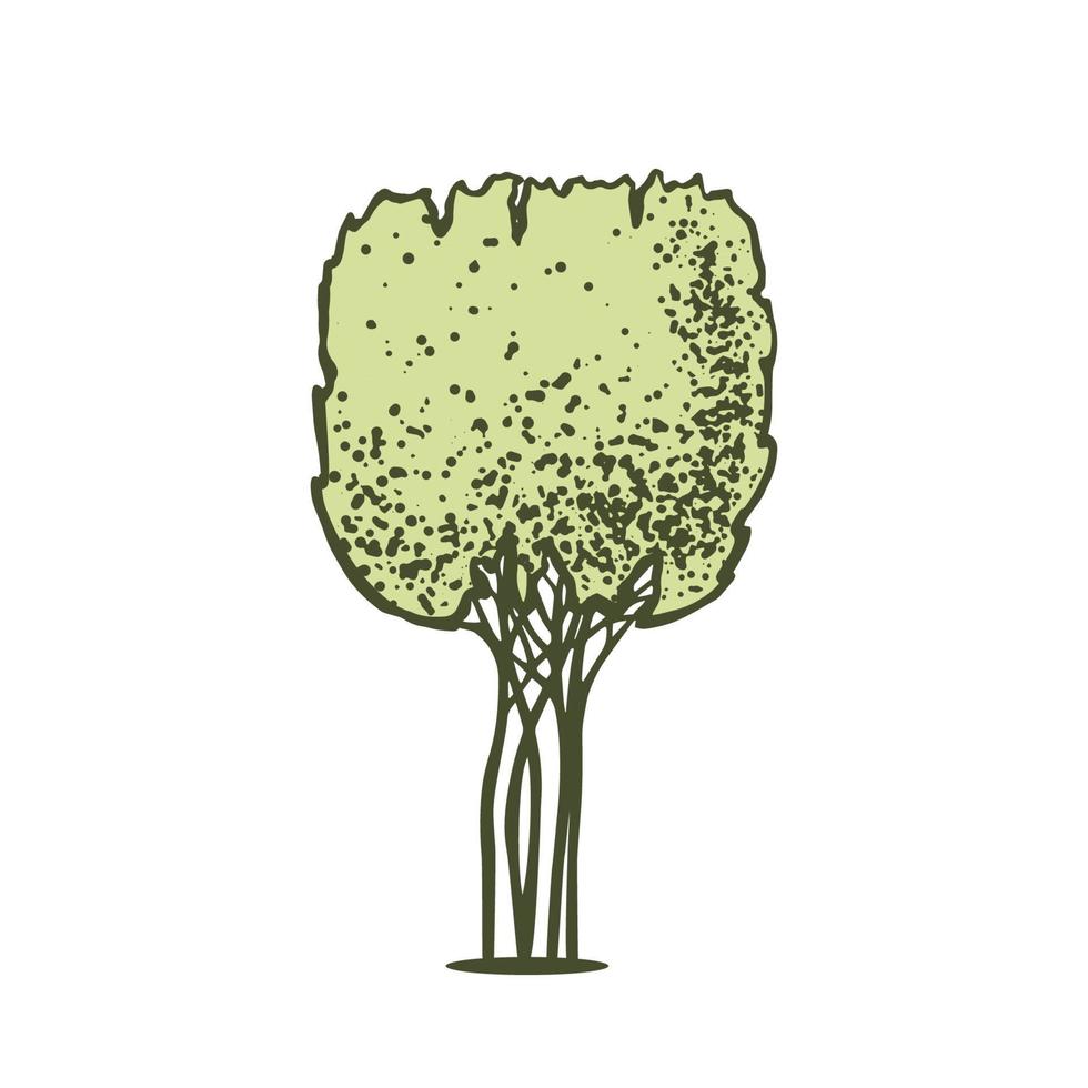 schizzo di arte topiaria conifero alberi. tranciato thuja cubo per siepi. geometrico alberi per pubblicità e paesaggio design. isolato su bianca sfondo. vettore