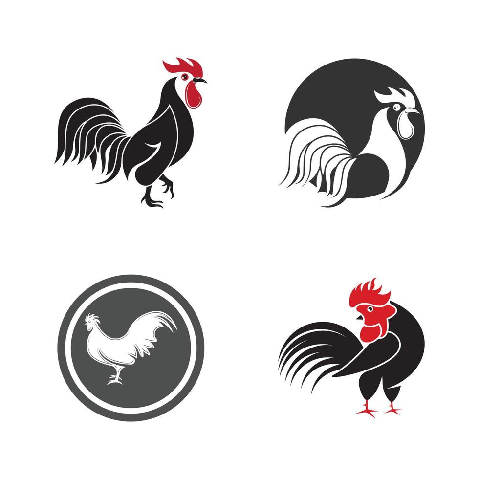 Gallo logo icona vettore e simbolo modello