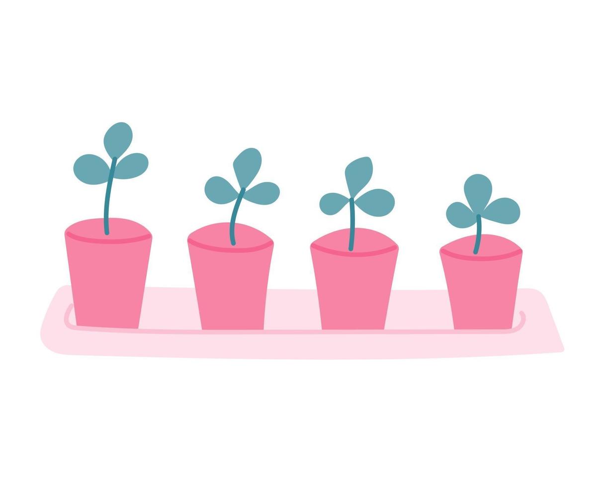 piantine, piante in vaso rosa su un pallet, sfondo bianco. illustrazione vettoriale in uno stile piatto