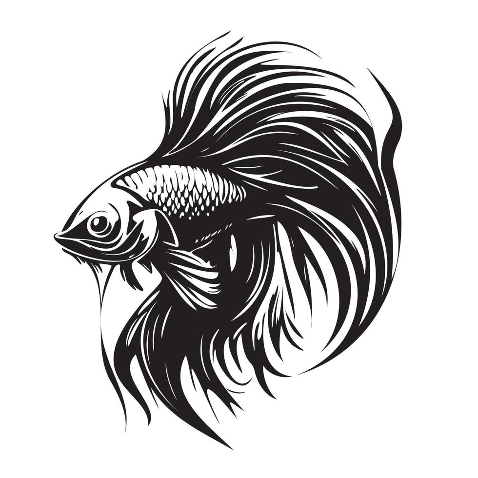 betta pesce vettore illustrazione, combattente pesce logo design
