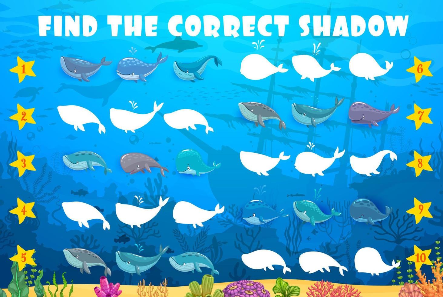 trova il corretta ombra di balena, cachalot, sperma vettore