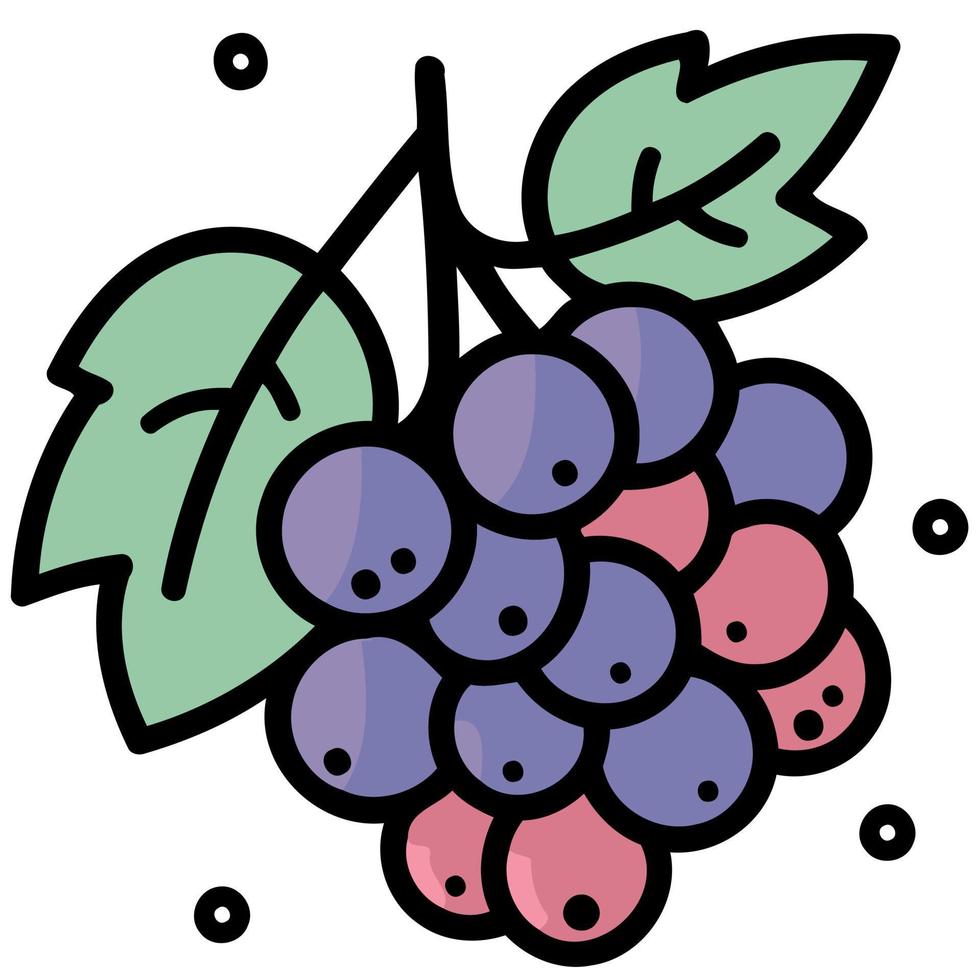 frutta mazzo di viola uva vettore