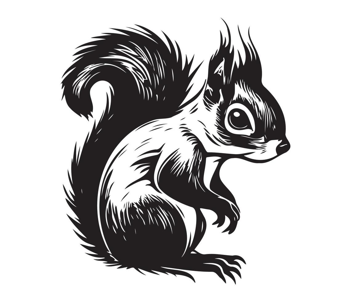 scoiattolo viso, sagome scoiattolo viso, nero e bianca scoiattolo vettore
