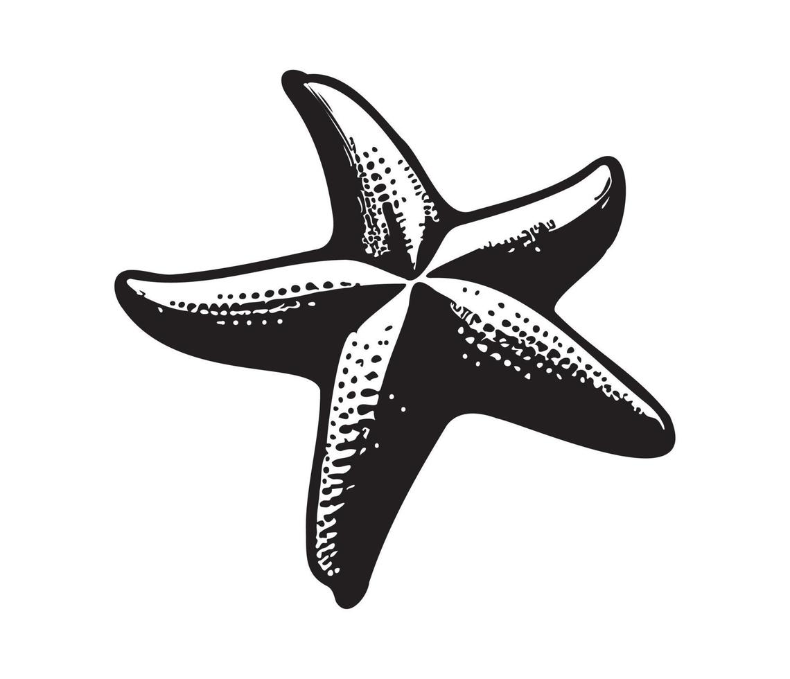 mare stella pesce marino, illustrazione di un' stella marina vettore