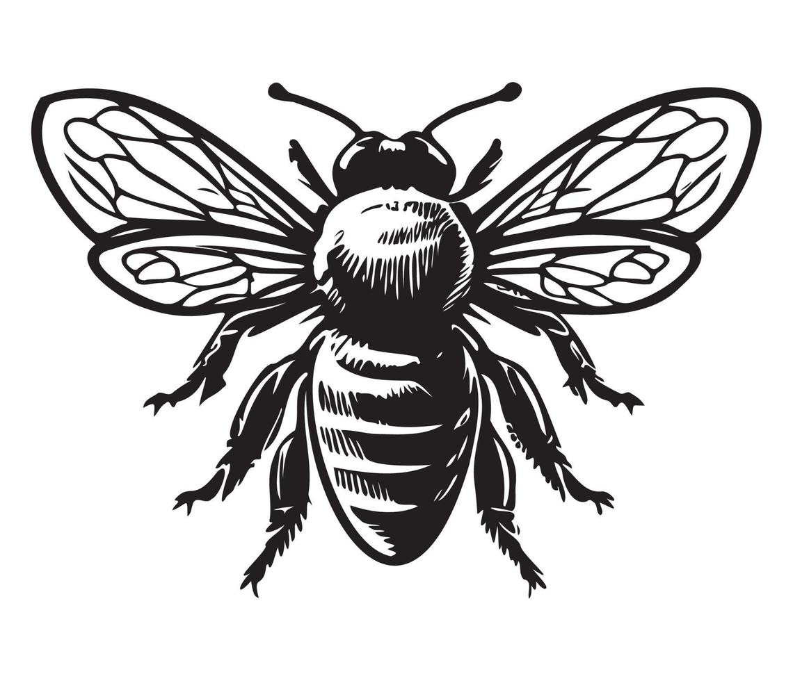 miele ape icona, miele ape silhouette vettore