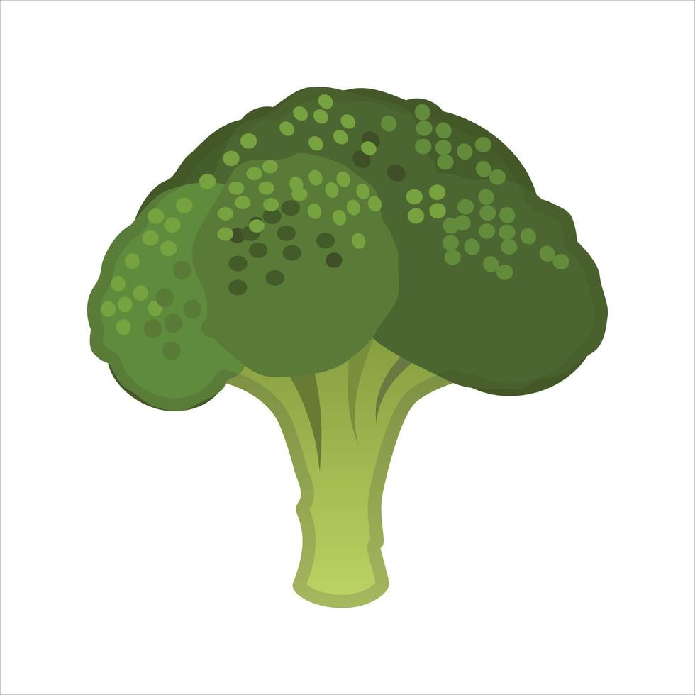 broccoli illustrazione vettore