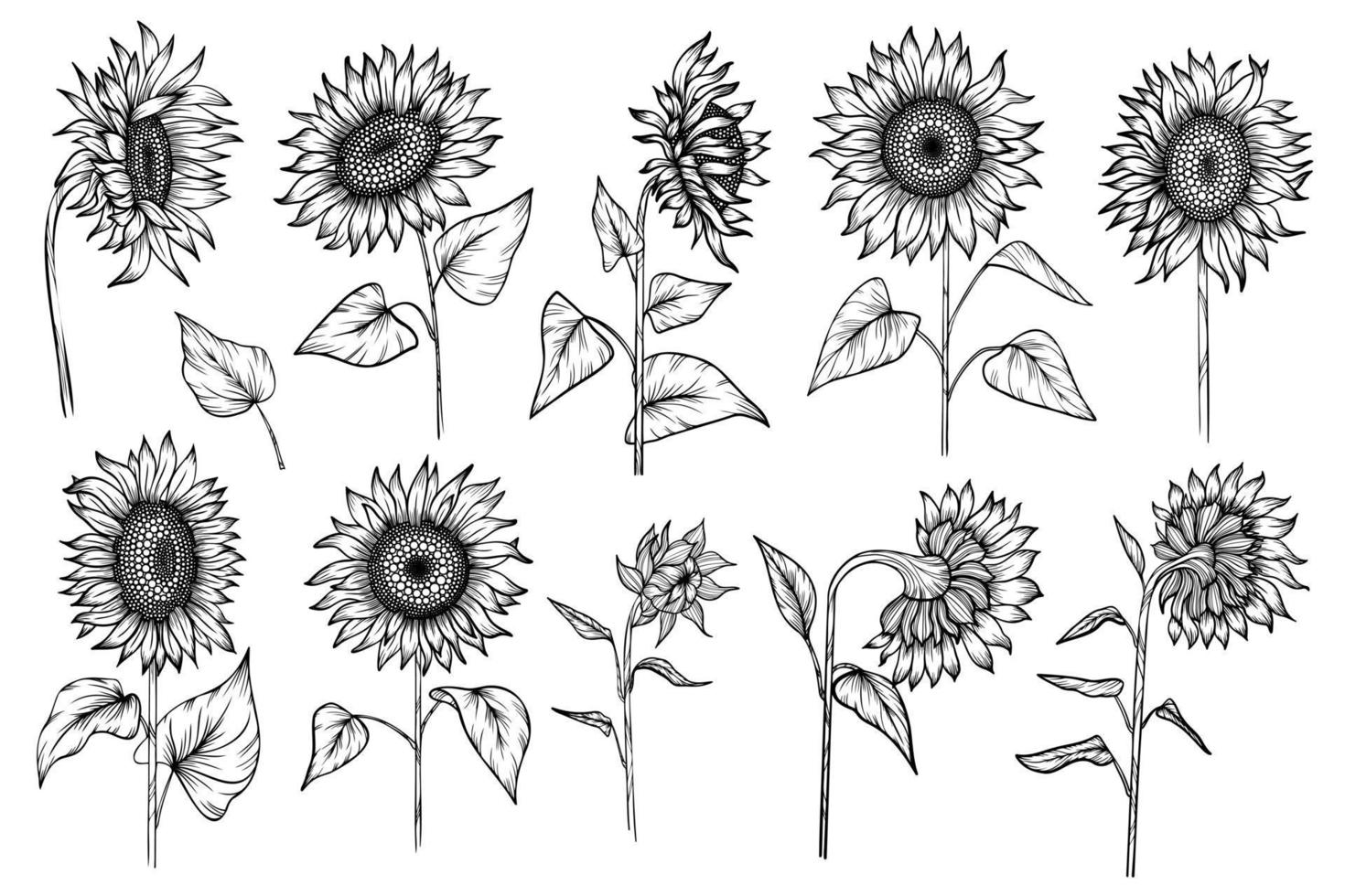 schema impostato con girasoli vettore