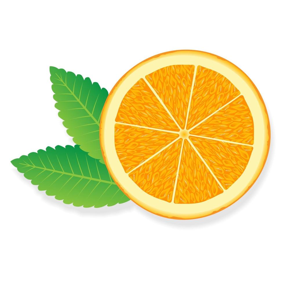 illustrazione di fetta d'arancia per il web isolato su sfondo bianco vettore