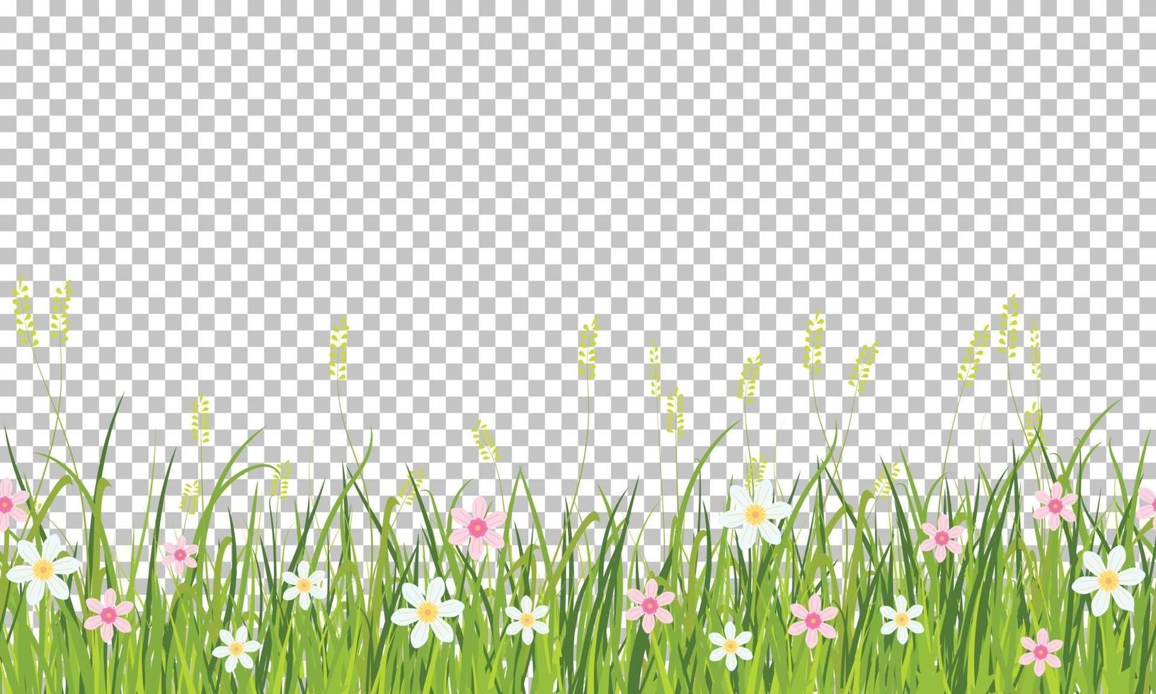 bordo di erba e fiori di primavera, elemento di decorazione di cartolina d'auguri di Pasqua, illustrazione isolato su sfondo trasparente vettore