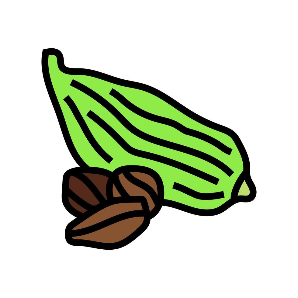 cardamomo cibo erba colore icona vettore illustrazione