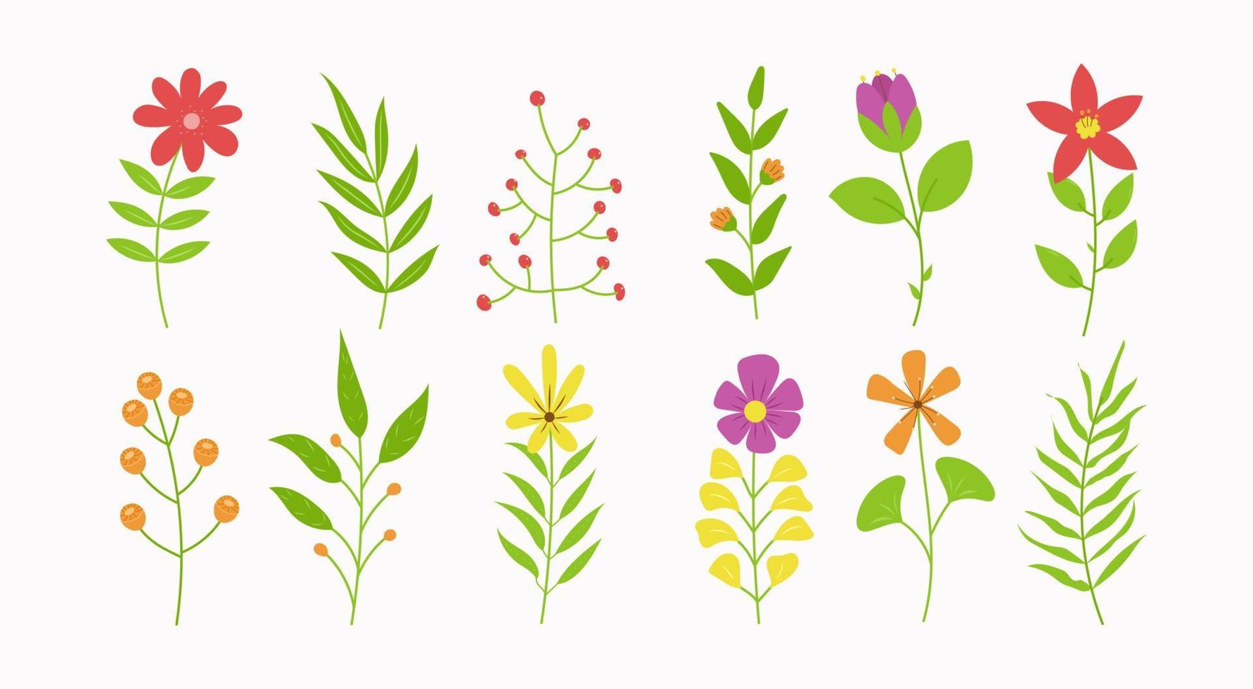 piatto fiori impostato collezione. semplice floreale illustrazione. botanico primavera e estate le foglie per decorazione. vettore grafico elemento