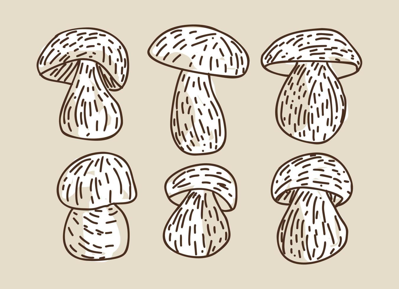 prodotti a base di funghi. illustrazione vettoriale. vettore