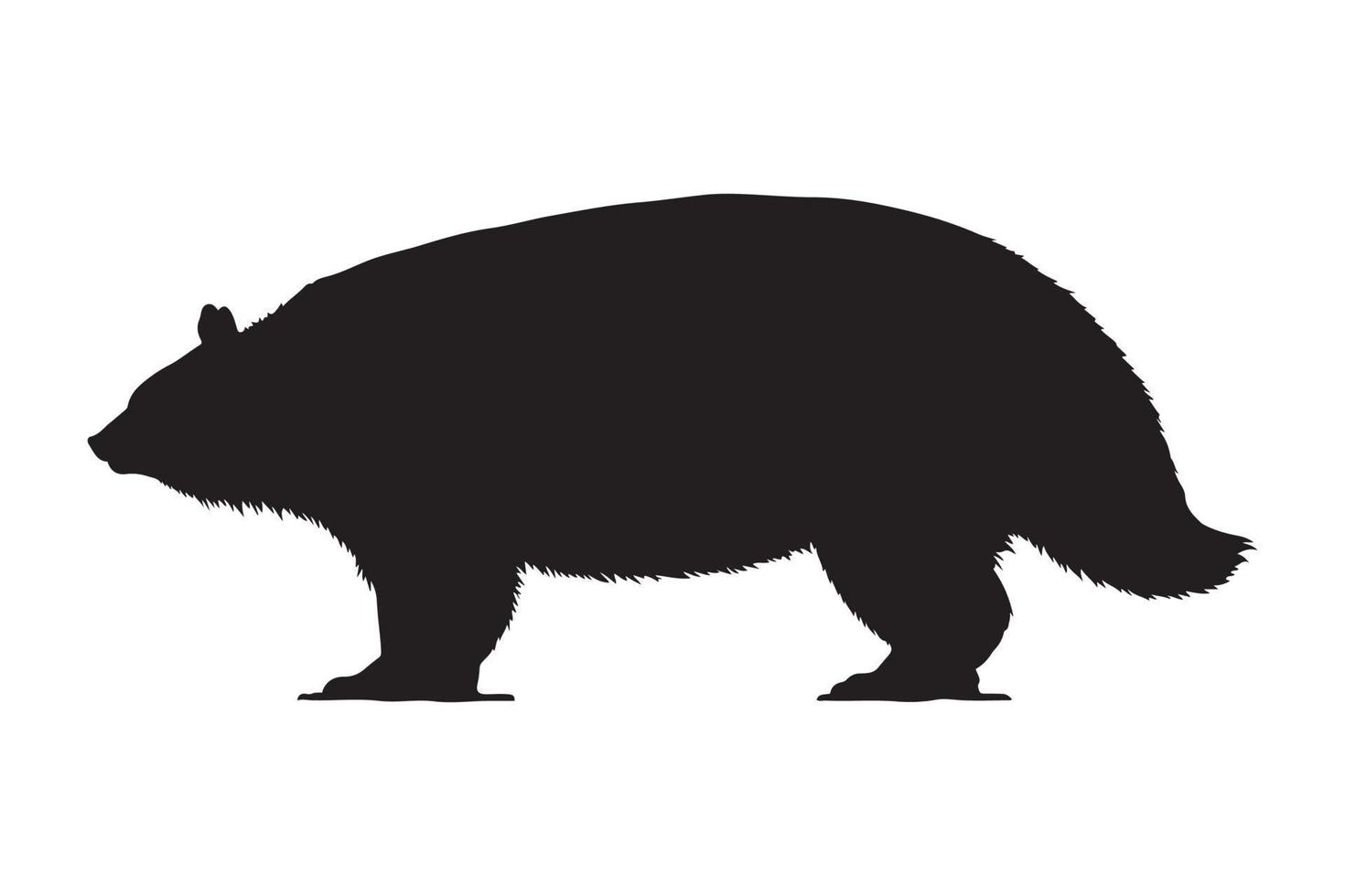 nero silhouette di vombato. wombat silhouette vettore. vettore