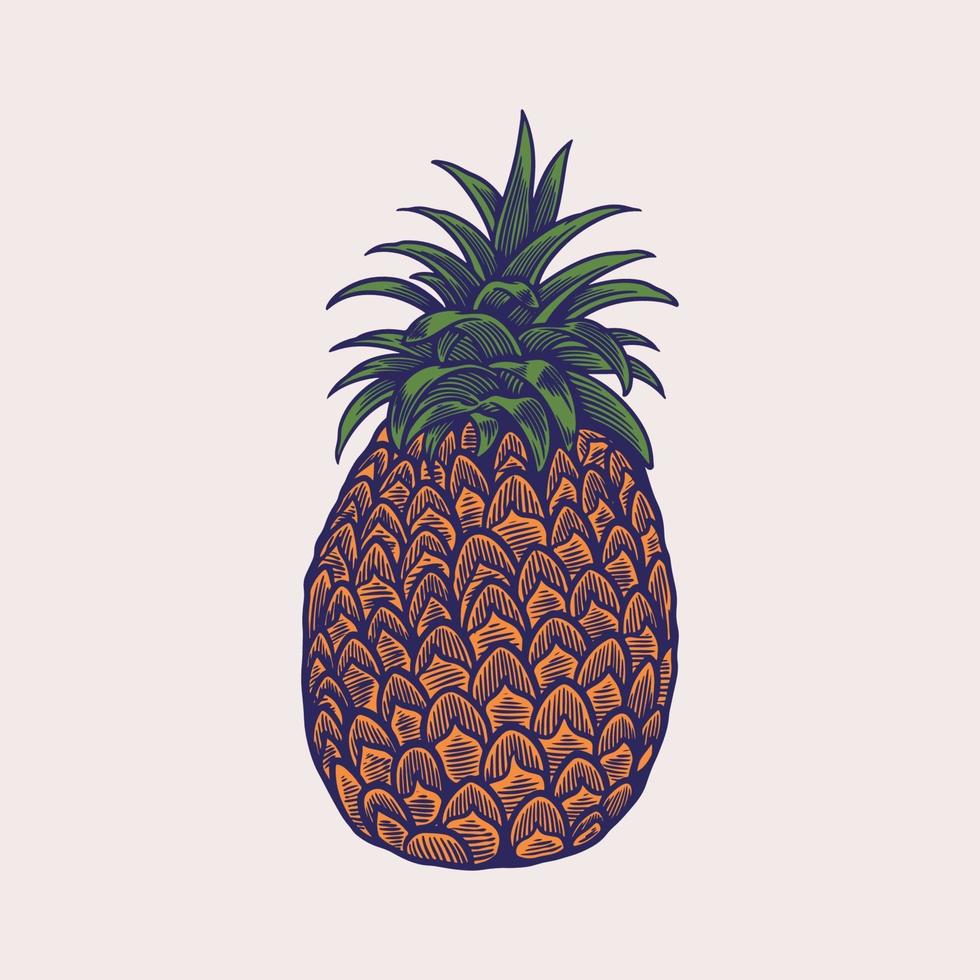 illustrazioni in stile schizzo disegnato a mano di ananas maturi. disegni vettoriali di frutta tropicale esotica isolati su priorità bassa bianca