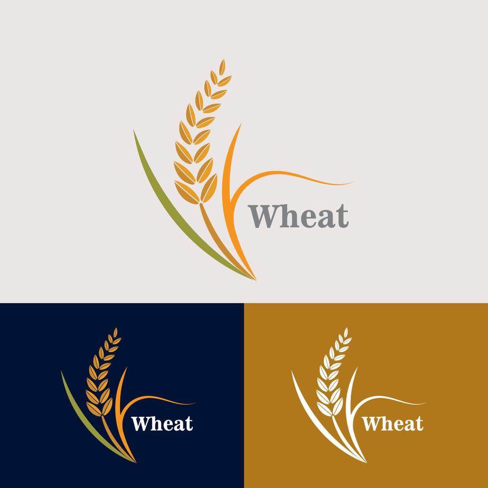 Grano grano agricoltura logo design per forno attività commerciale modello vettore