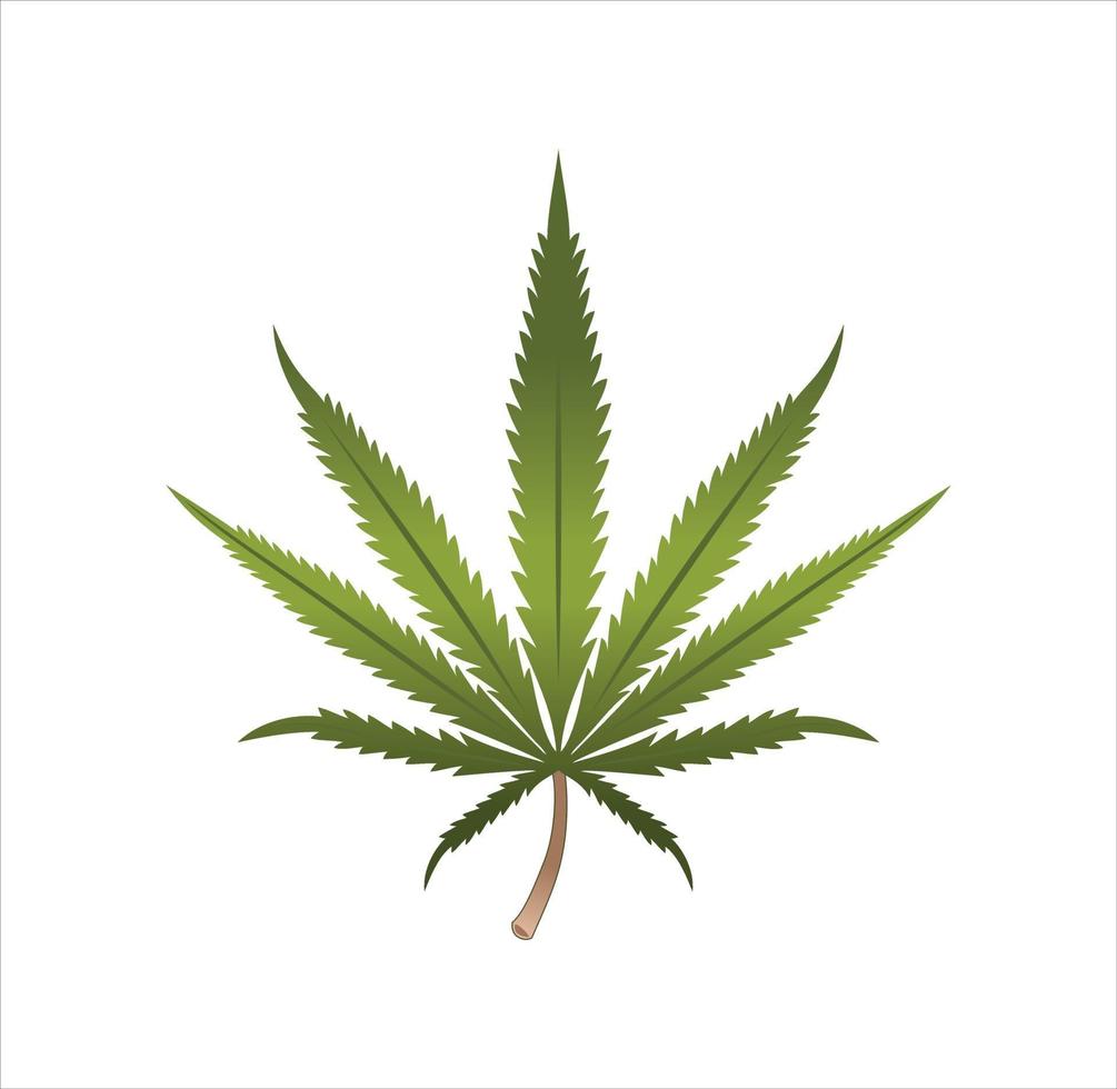 illustrazione realistica di disegno della foglia di marijuana vettore