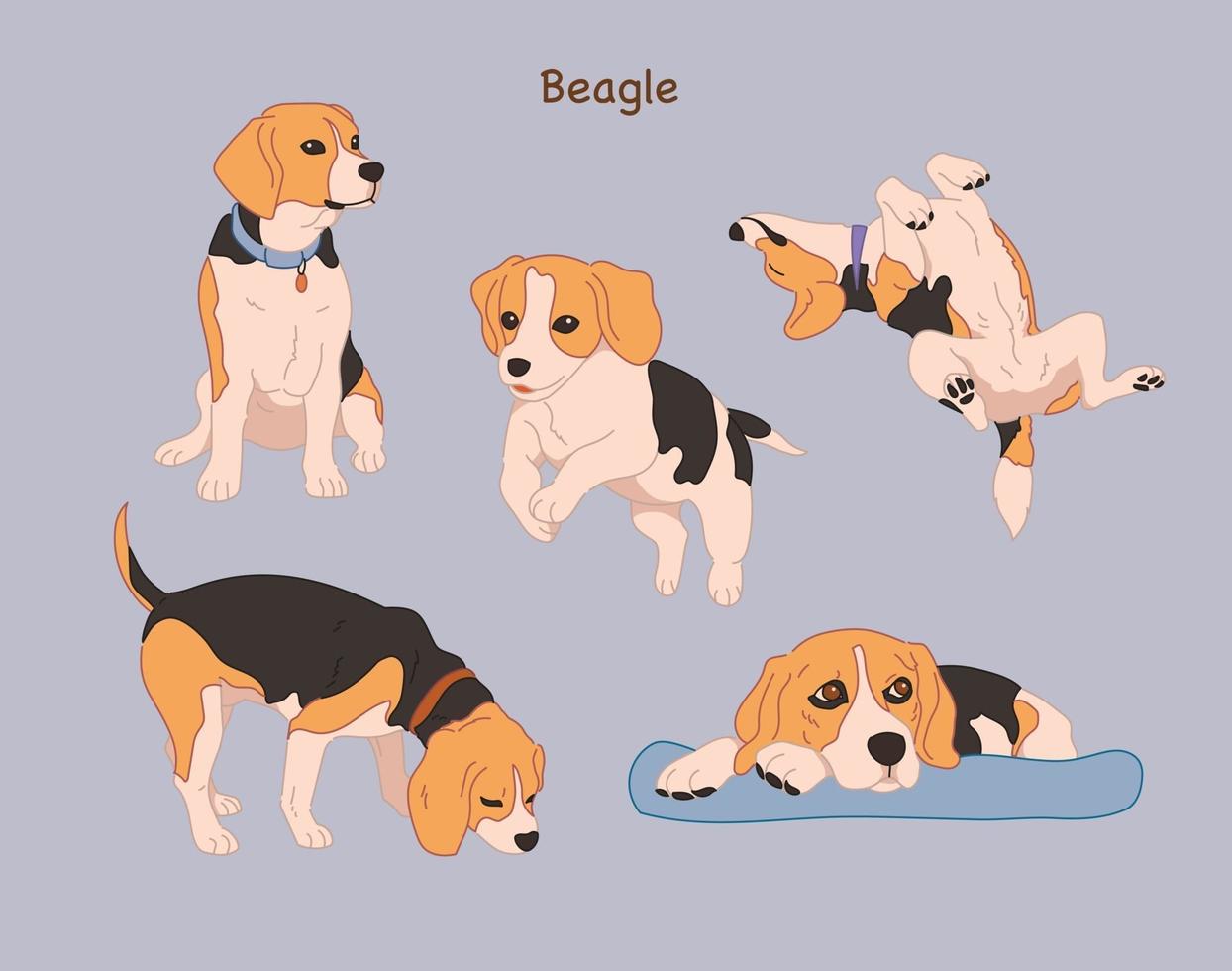 varie pose del simpatico beagle. illustrazioni di disegno vettoriale stile disegnato a mano.