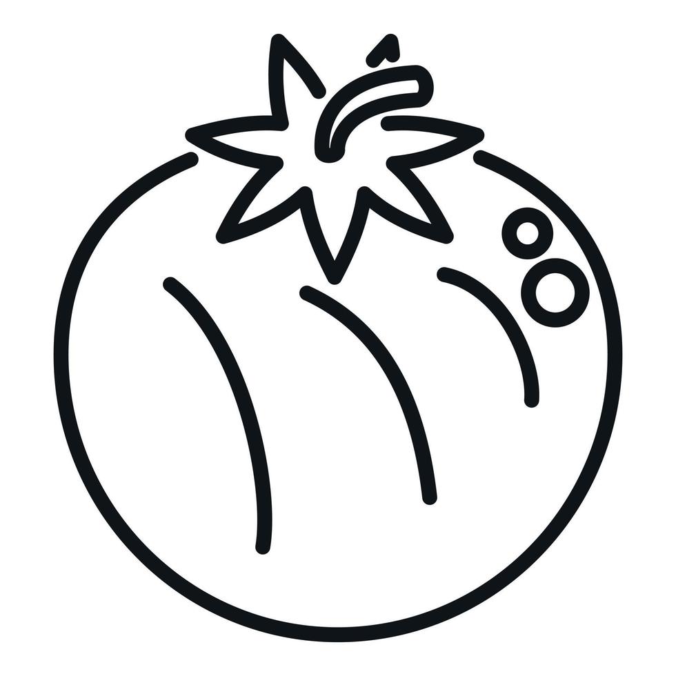 grigliato pomodoro icona schema vettore. bbq cibo vettore