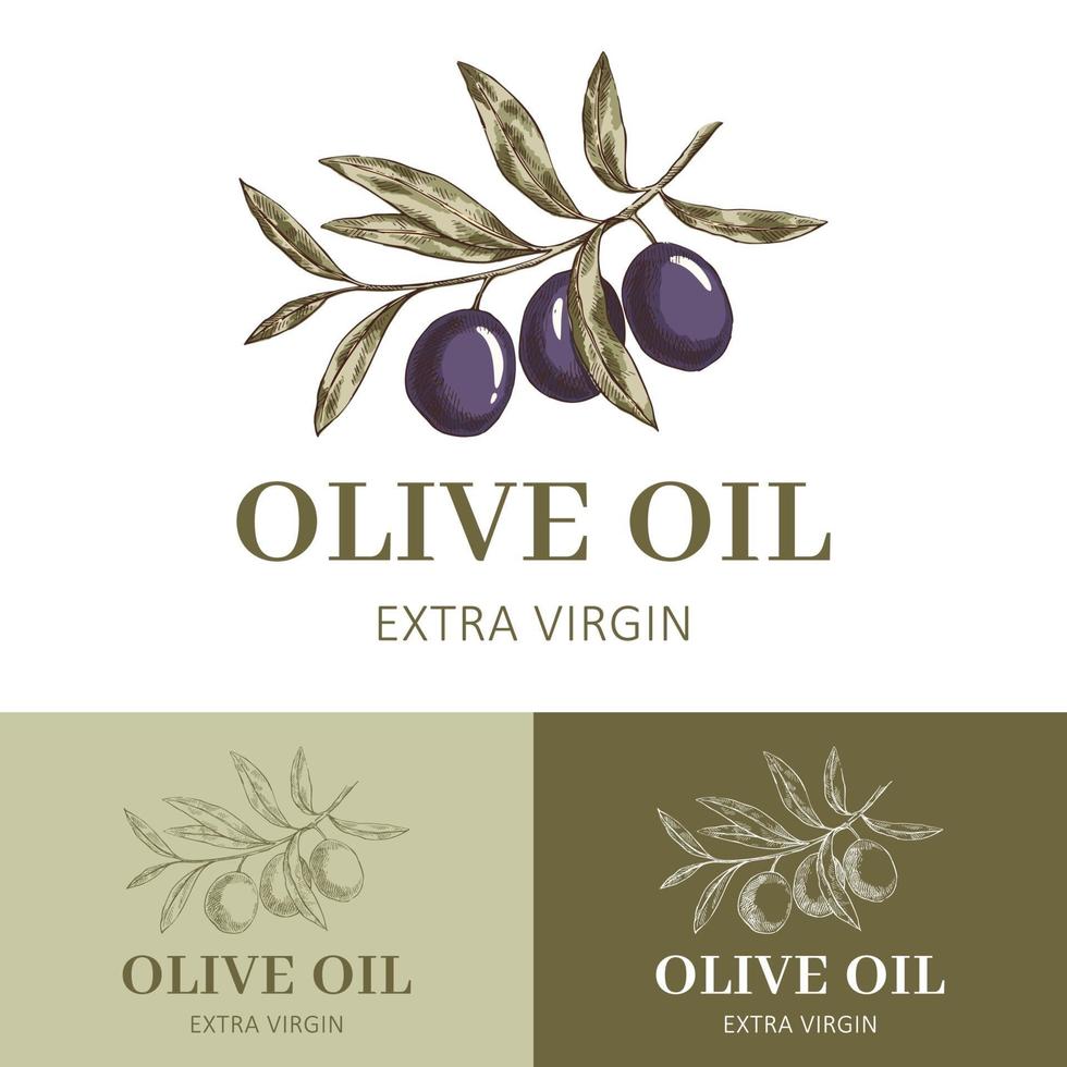 etichetta di olio d'oliva con ramo d'ulivo vettore
