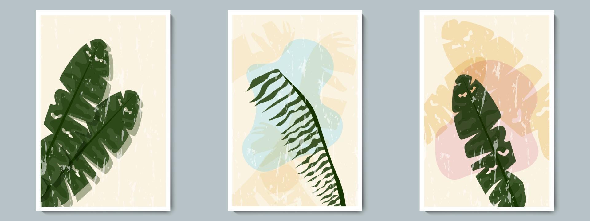 poster di vettore di arte della parete botanica primavera, insieme estivo. pianta tropicale minimalista con forma astratta e texture grunge