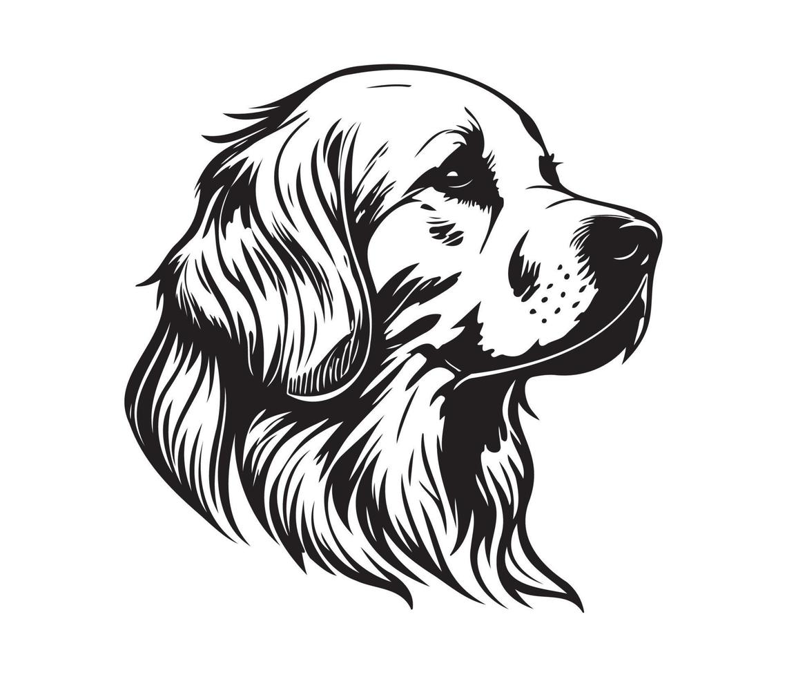 d'oro cane da riporto viso, silhouette cane viso, nero e bianca d'oro cane da riporto vettore