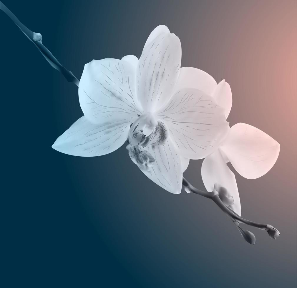 bellissimo orchidea fiori. Vintage ▾ carta. triste umore. vettore