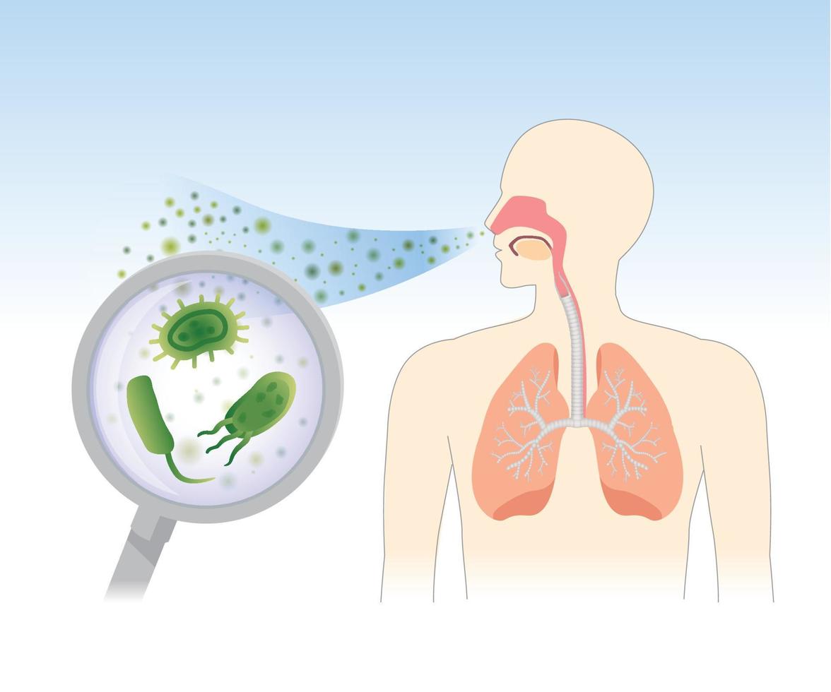 vettore respirazione virus nel polmoni