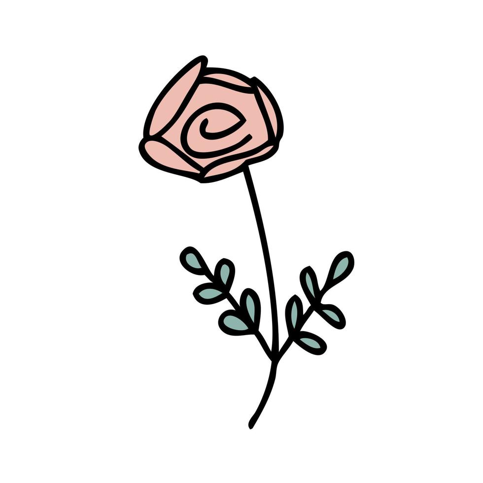 mano disegnato rosa fiore nel semplice scarabocchio stile. vettore