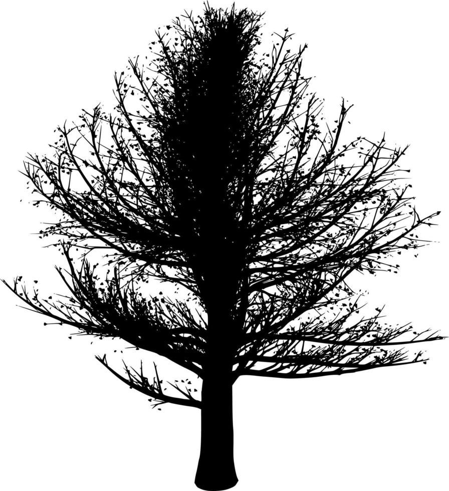 vettore silhouette di albero su bianca sfondo