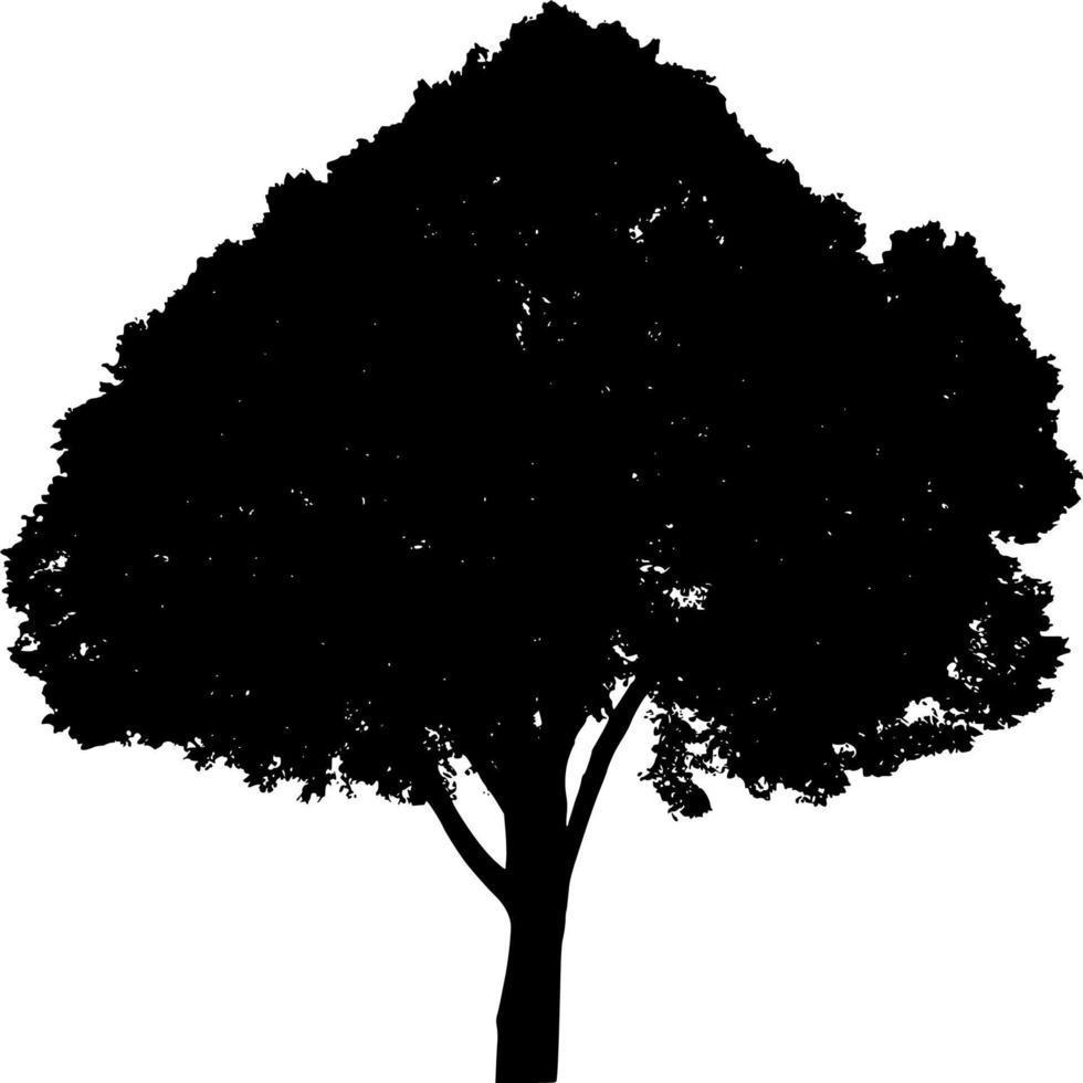 vettore silhouette di albero su bianca sfondo