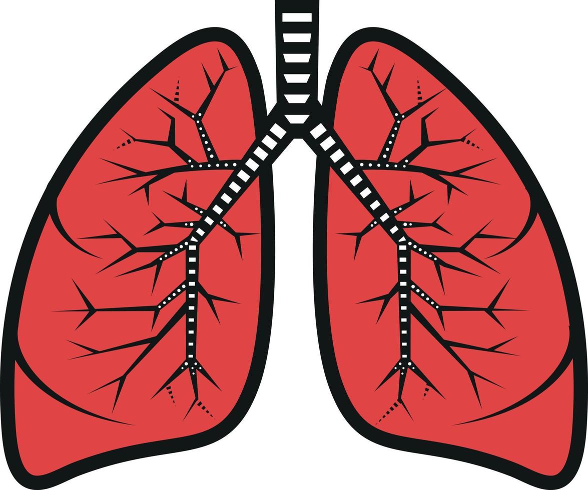 vettore Immagine di polmoni. Immagine di umano organo
