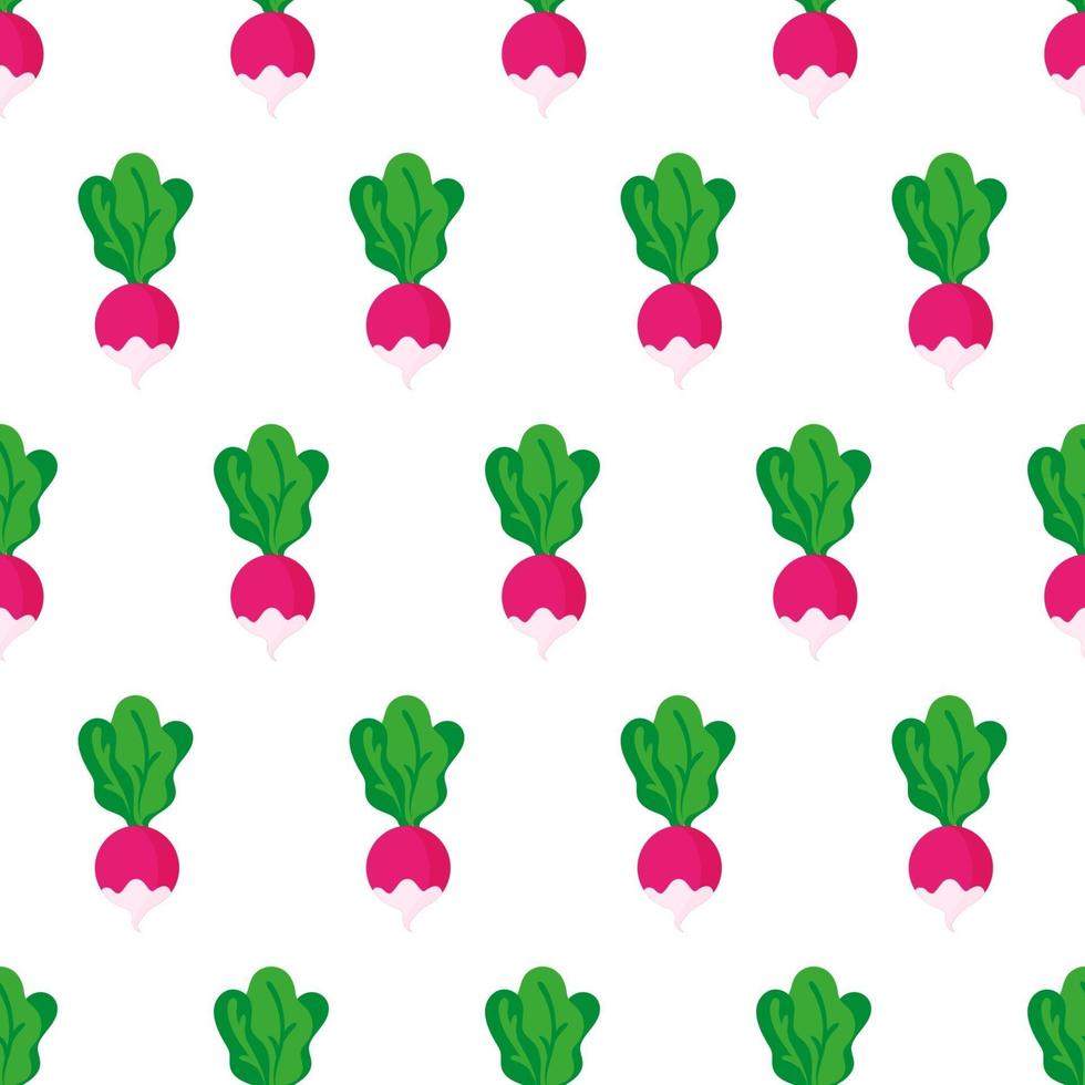 Vector seamless pattern con interi maturi ravanello rosa con cime isolati su sfondo bianco