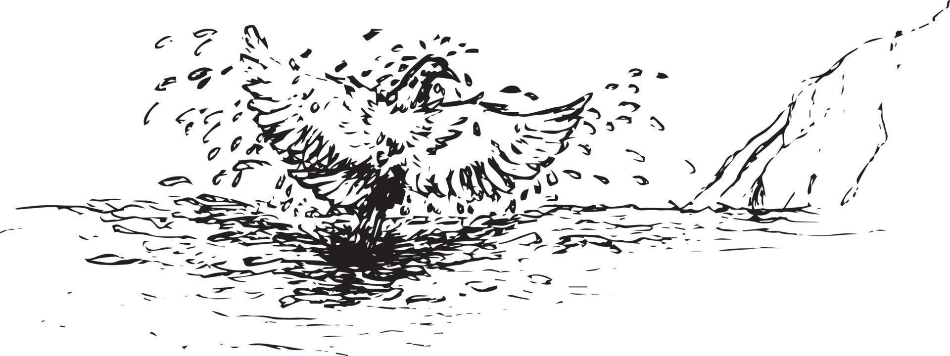 schizzo di un' uccello bagnarsi nel il lago vettore