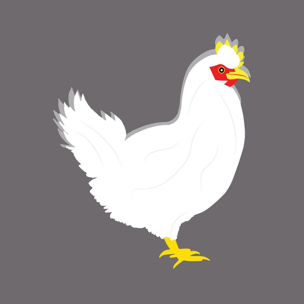 un' bellissimo bianca gallina vettore arte opera illustrazione