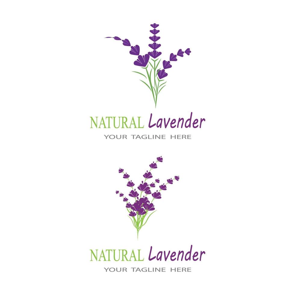 lavanda logo modello simbolo vettore natura