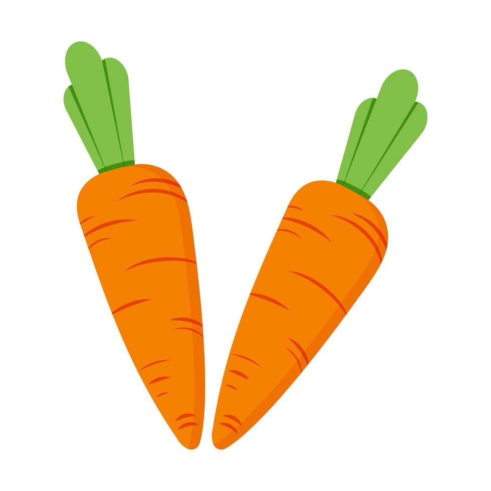 carota illustrazione isolato su bianca sfondo vettore