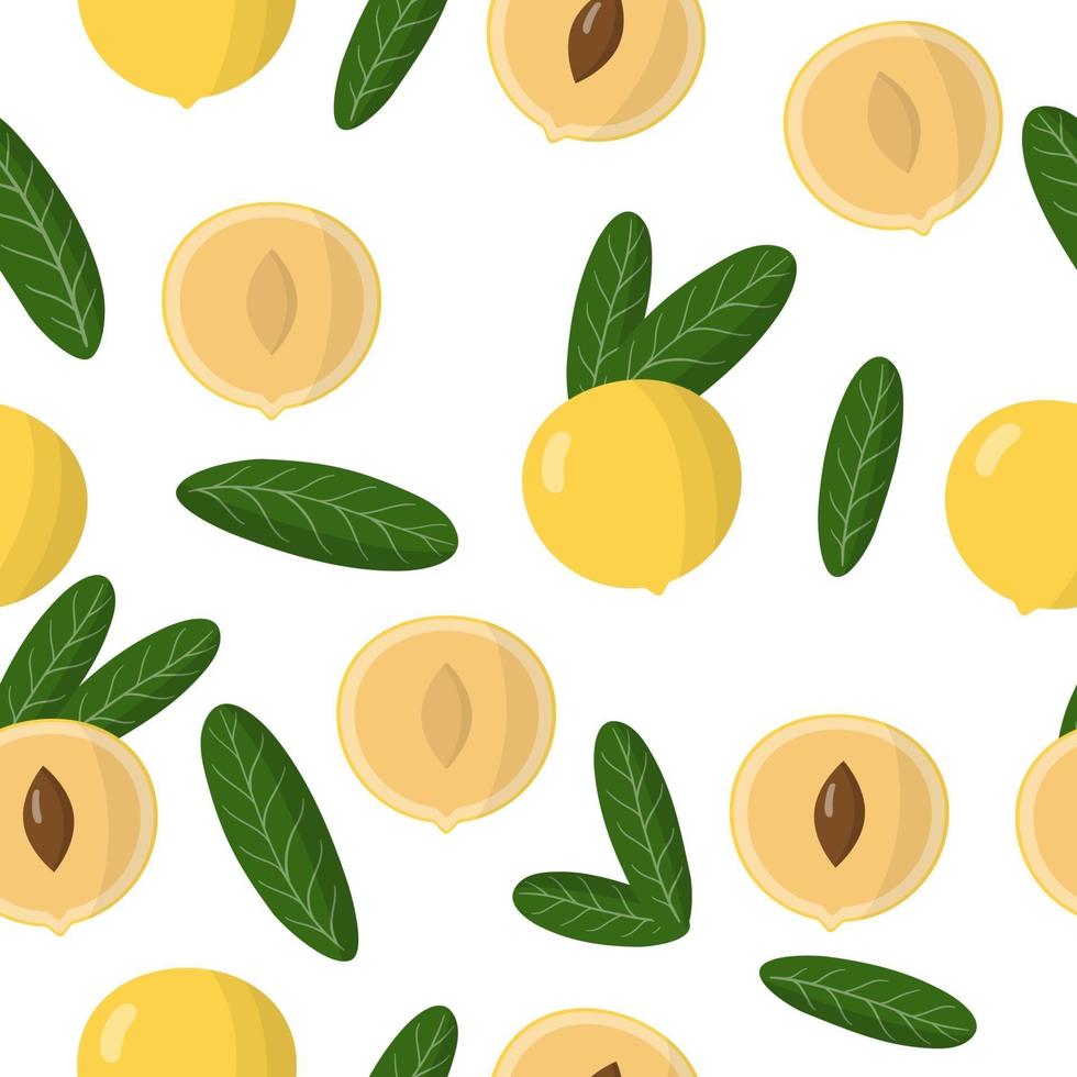 Vector cartoon seamless pattern con pouteria caimito o i frutti esotici abiu e foglie su sfondo bianco