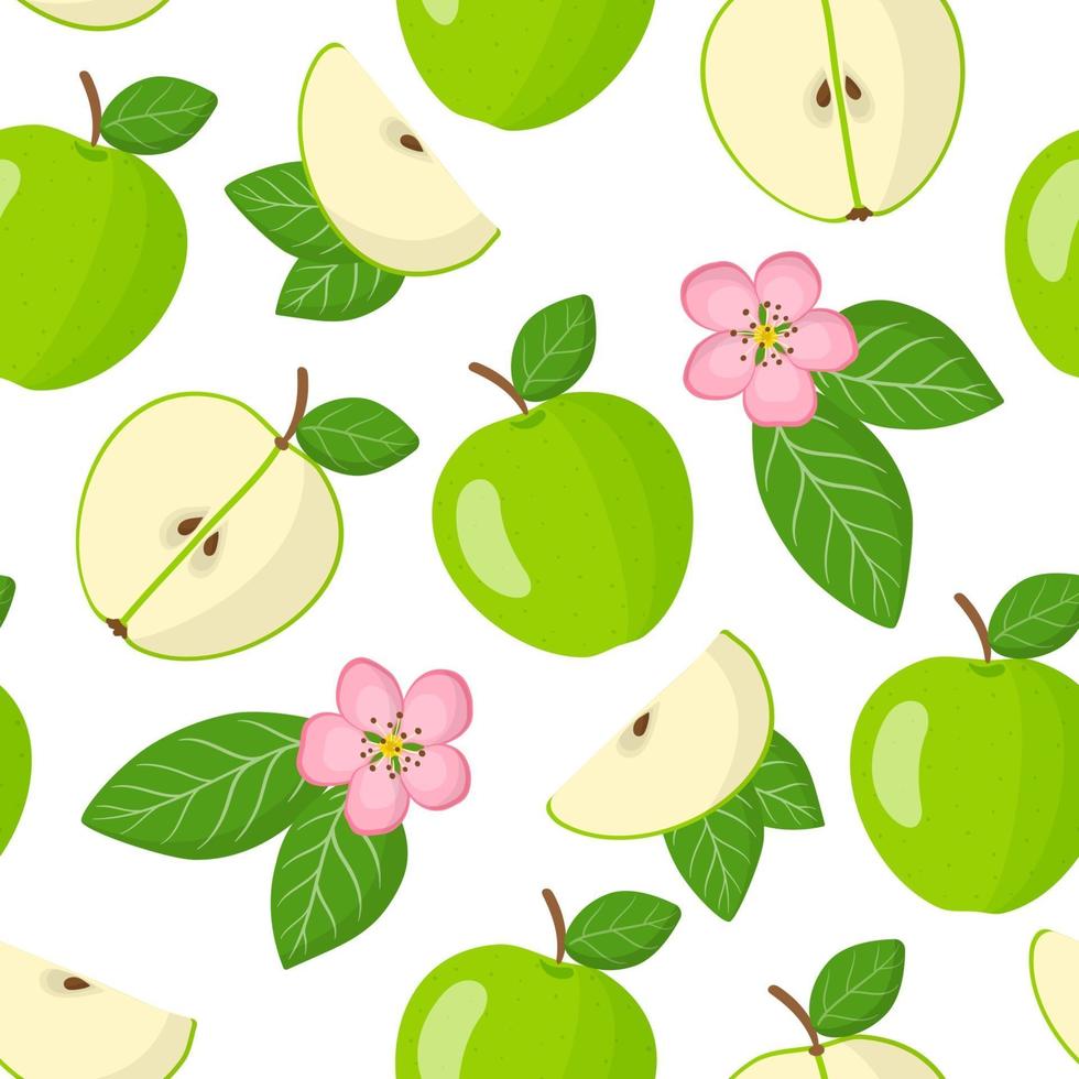 Vector cartoon seamless pattern con malus domestica o mela verde frutta esotica, fiori e foglie su sfondo bianco