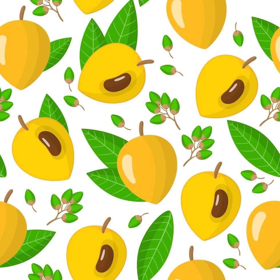 Vector cartoon seamless pattern con pouteria campechiana o canistel frutti esotici fiori e foglie su sfondo bianco