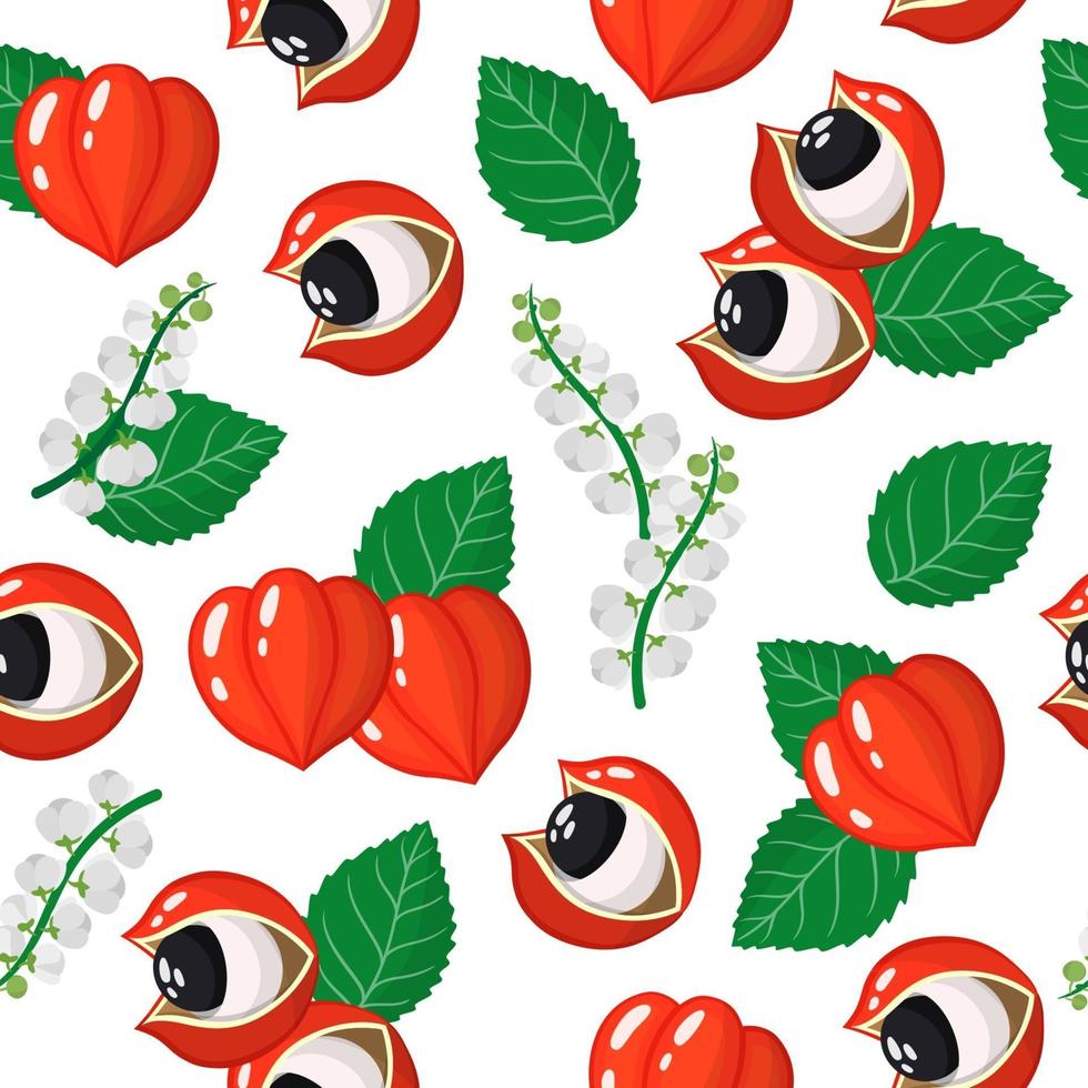 Vector cartoon seamless pattern con paullinia cupana o guaranà frutti esotici, fiori e foglie su sfondo bianco