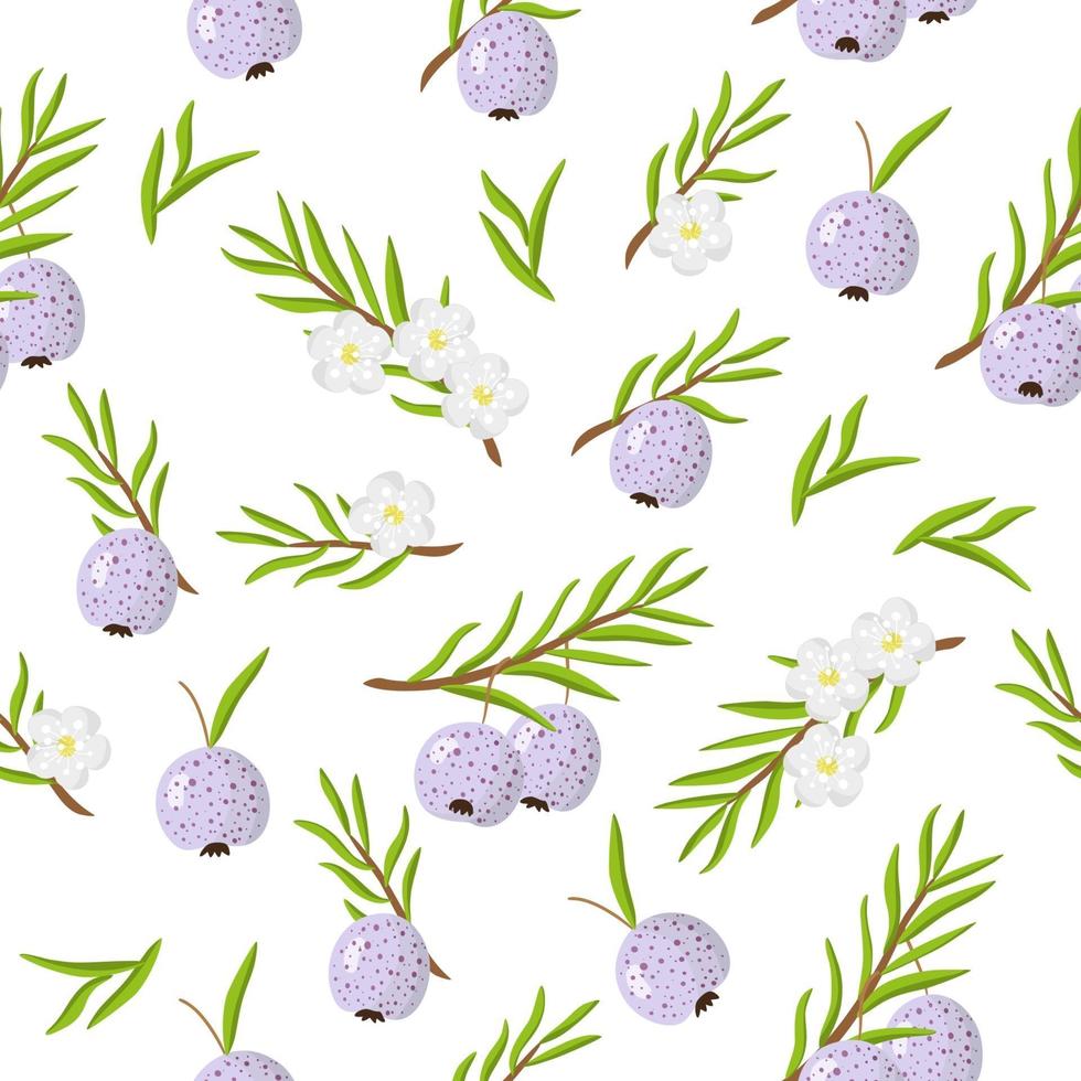 Vector cartoon seamless pattern con austromyrtus dulcis o midyim frutti esotici, fiori e foglie su sfondo bianco